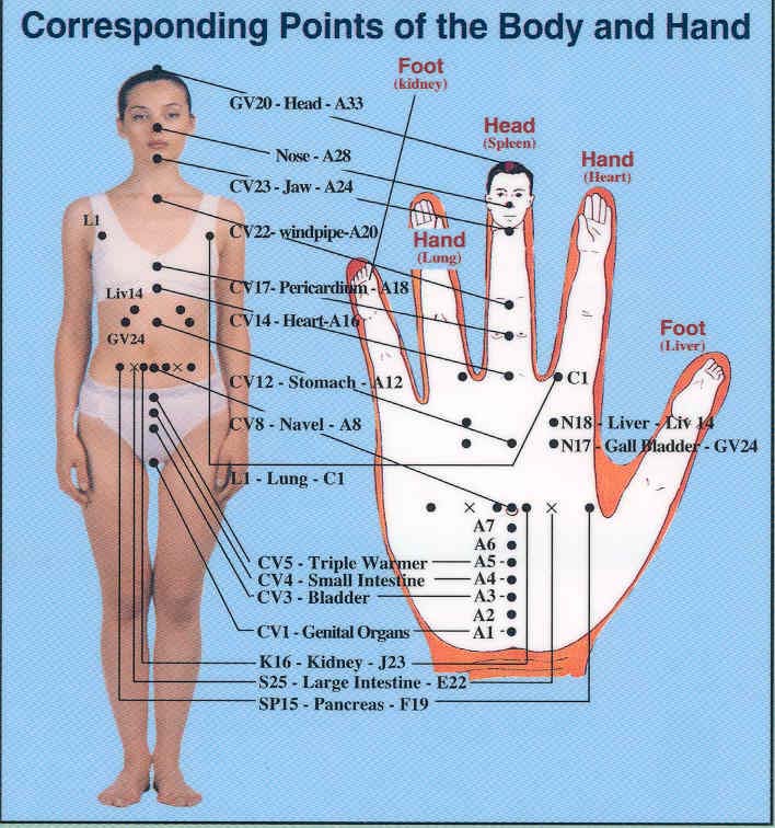 hand-body